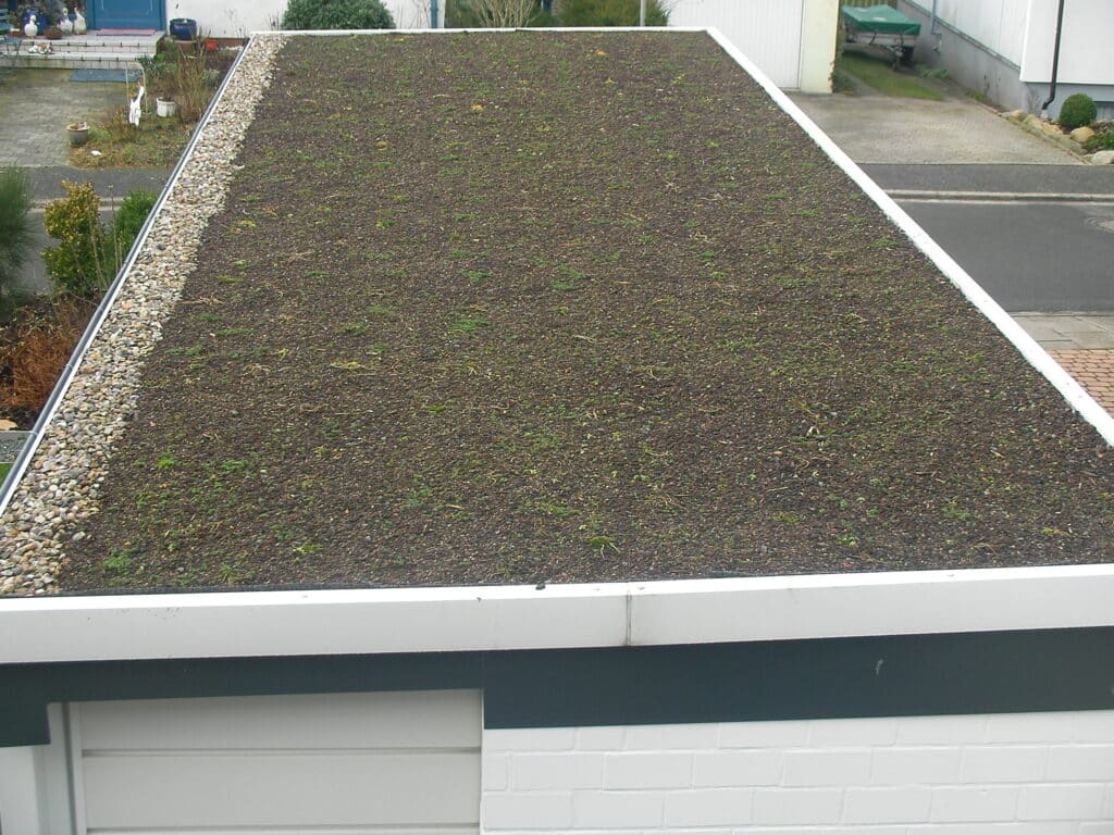 Garagenflachdach mit niedriger Dachbegrünung und hellem Randabschluss.